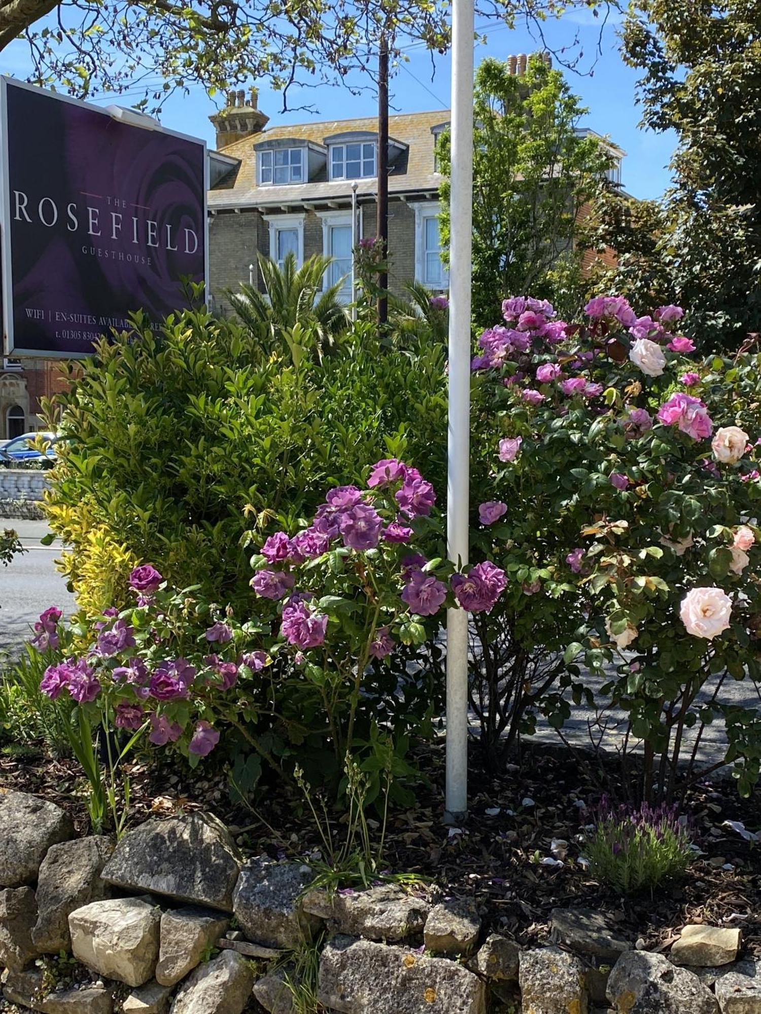Hotel The Rosefield Weymouth Exterior foto